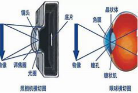 愛眼日義診文案561.png